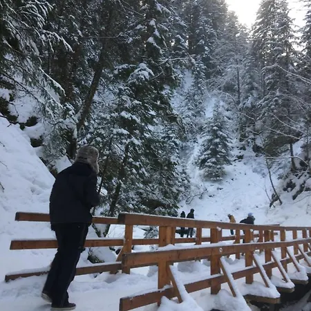 рукавичка Yaremche