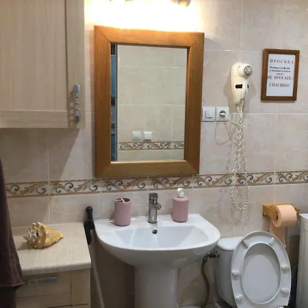 ゲストハウス рукавичка