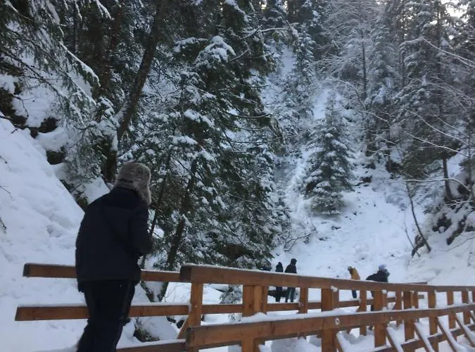 рукавичка Yaremche