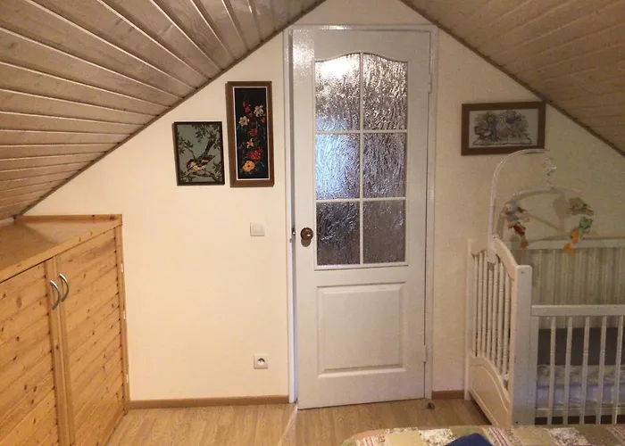 рукавичка Konukevi Yaremche