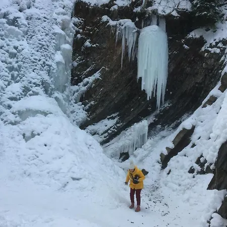 рукавичка Yaremche